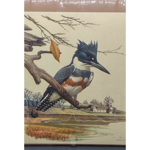 Peterson Print Kingfisher 11 Wide by 12.5 High Inches - Picture 5 of 8